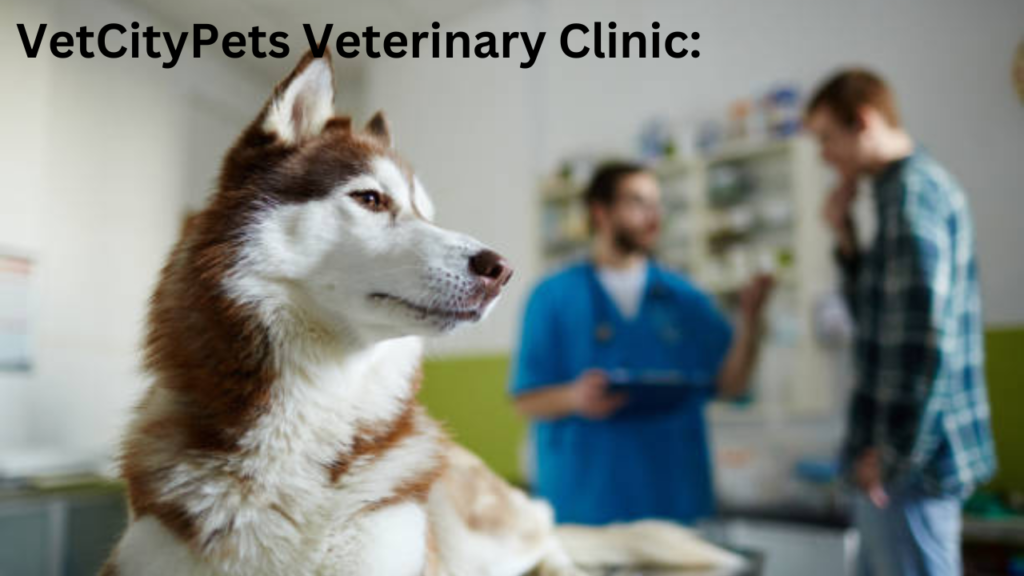 VetCityPets Veterinary Clinic