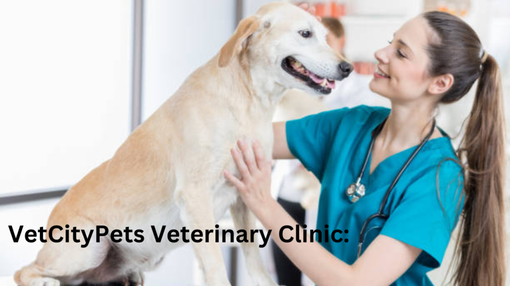 VetCityPets Veterinary Clinic