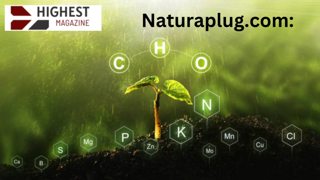 naturaplug.com