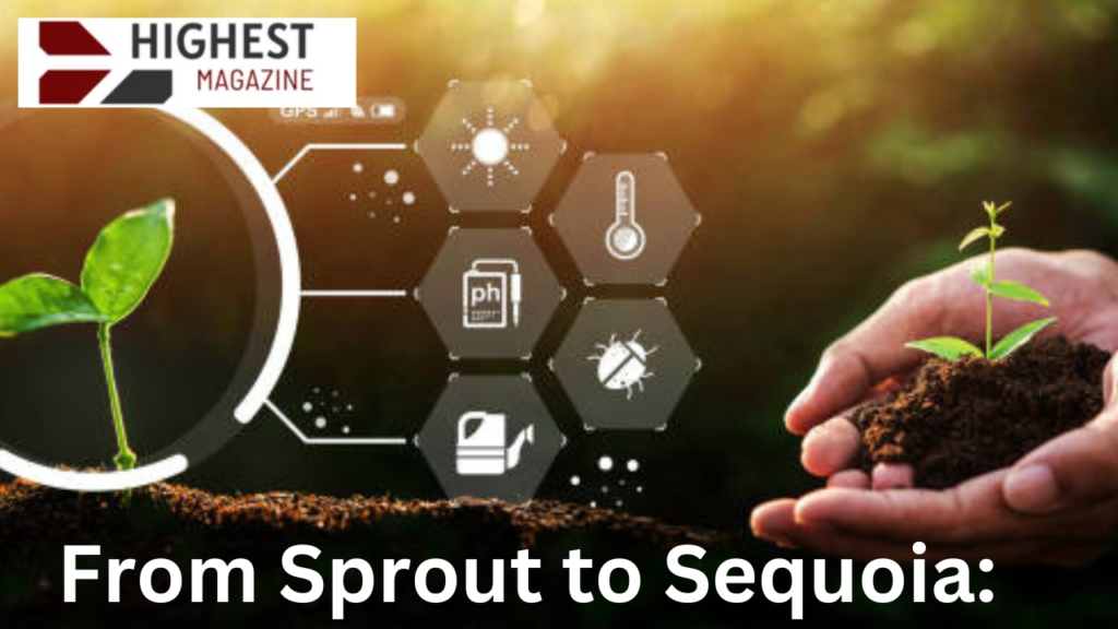 From Sprout to Sequoia