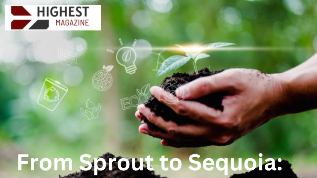 From Sprout to Sequoia