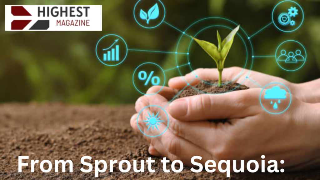 From Sprout to Sequoia