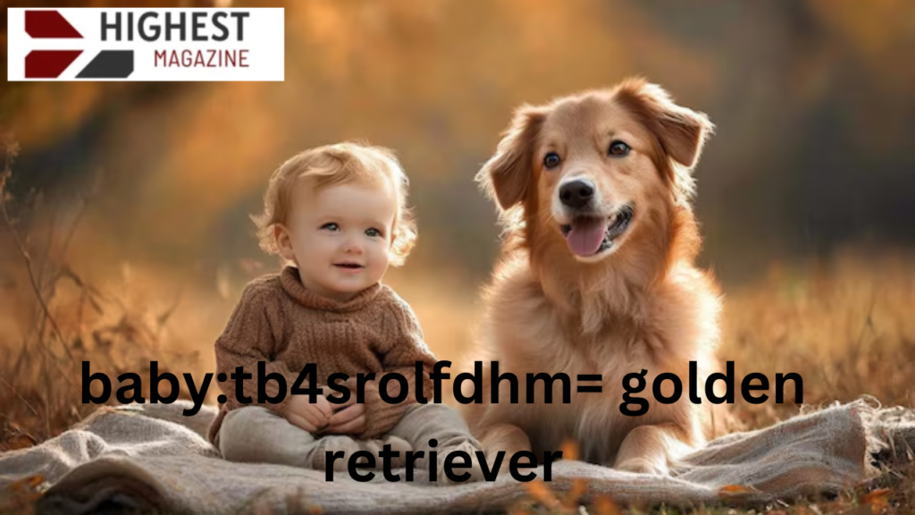 baby:tb4srolfdhm= golden retriever