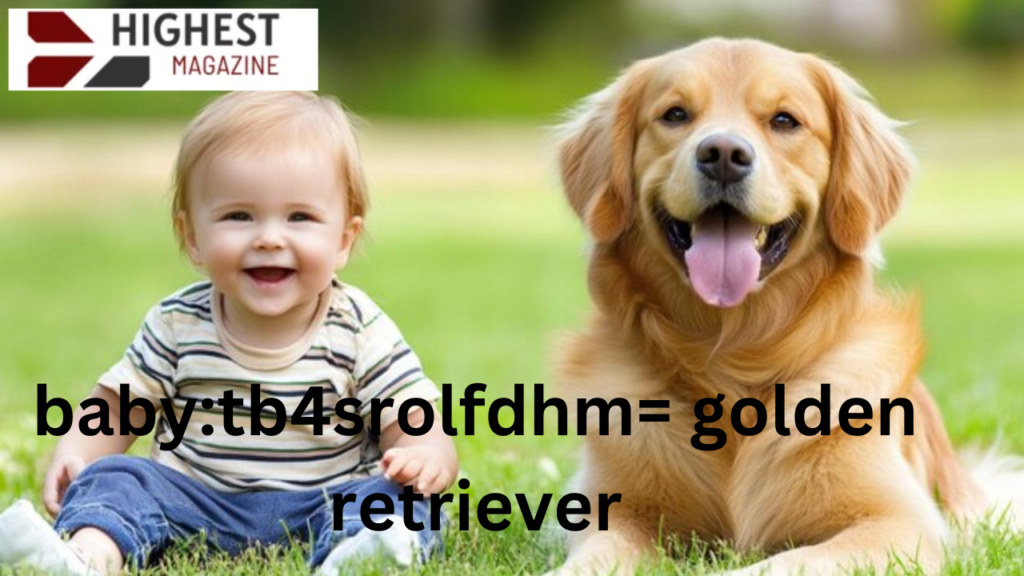 baby:tb4srolfdhm= golden retriever